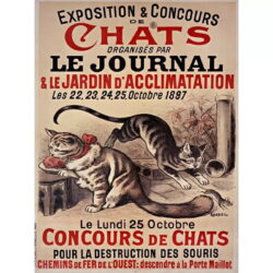 vintage cat poster