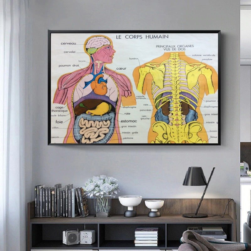 vintage poster human body