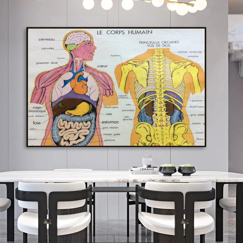 vintage poster human body