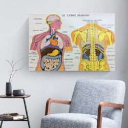vintage poster human body