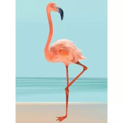 vintage flamingo poster