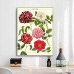 vintage flower poster