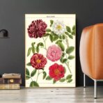 vintage flower poster