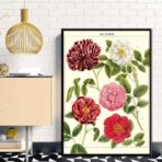 vintage flower poster