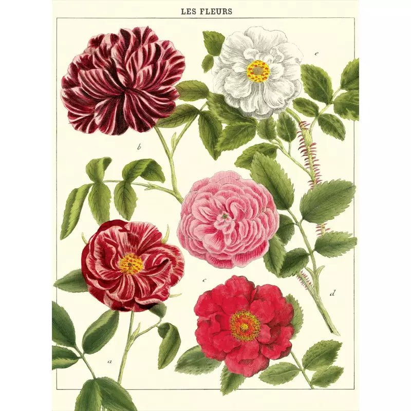 vintage flower poster vintage flower poster