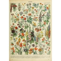 vintage flowers poster 1