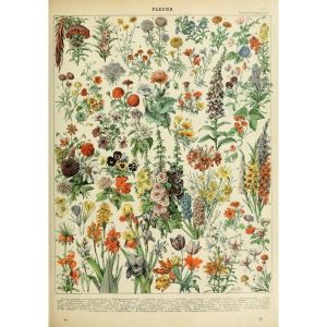 vintage flowers poster 1
