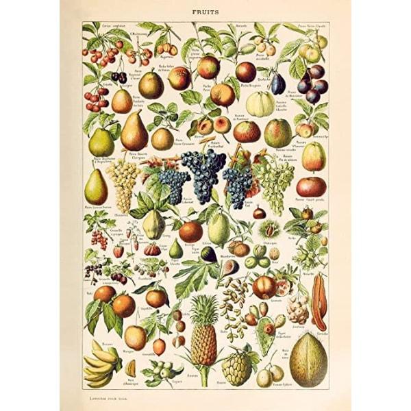 vintage fruit poster vintage fruit poster