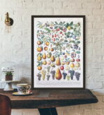 vintage fruit poster 1