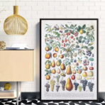 vintage fruit poster 1