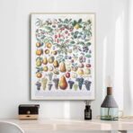 vintage fruit poster 1