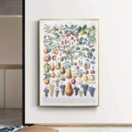 vintage fruit poster 1