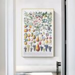 vintage fruit poster 1