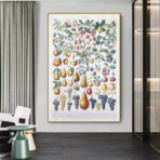 vintage fruit poster 1