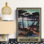 vintage poster hossegar