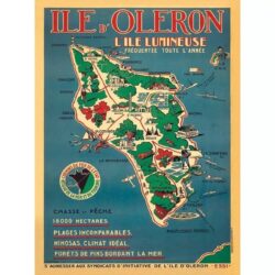 vintage poster ile doleron
