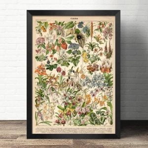 wildflowers poster
