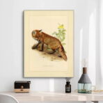 vintage fox poster