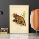 vintage fox poster
