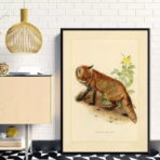 vintage fox poster