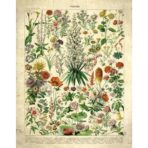 vintage flowers poster