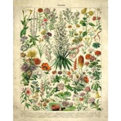 vintage flowers poster