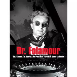 dr foolamour poster