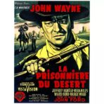 the prisoner of the desert poster