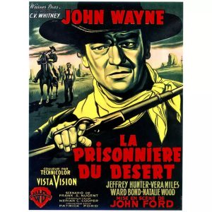 the prisoner of the desert poster