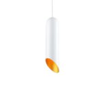 tube suspension luminary