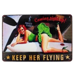 metal plane plate