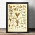 shellfish poster