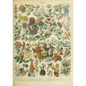 poster flowers vintage