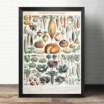 old vegetable poster