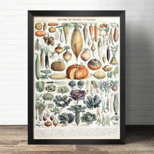 old vegetable poster