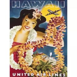 vintage hawaii poster 8