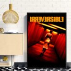 poster irreversible