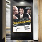 les barbouzes poster