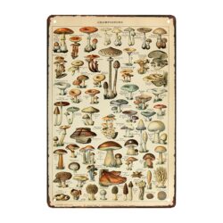 metal mushroom plate