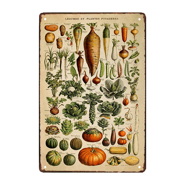 vegetable metal plate vegetable metal plate