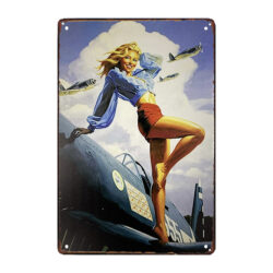 pin up metal plaque with plane