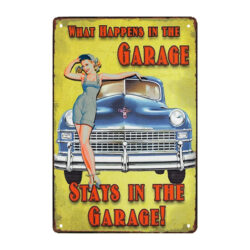metal plate pin up and car