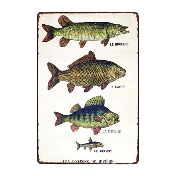 metal plate river fish metal plate river fish
