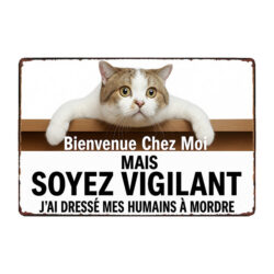 funny metal plate cat